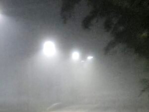 cropped 20260404 020255 scaled 2.jpg