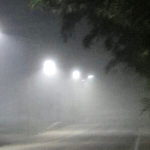 cropped 20260404 020255 scaled 2.jpg